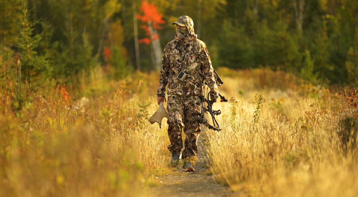 Bear hunting - Hunting - What to do in Rimouski for outdoor enthusiasts